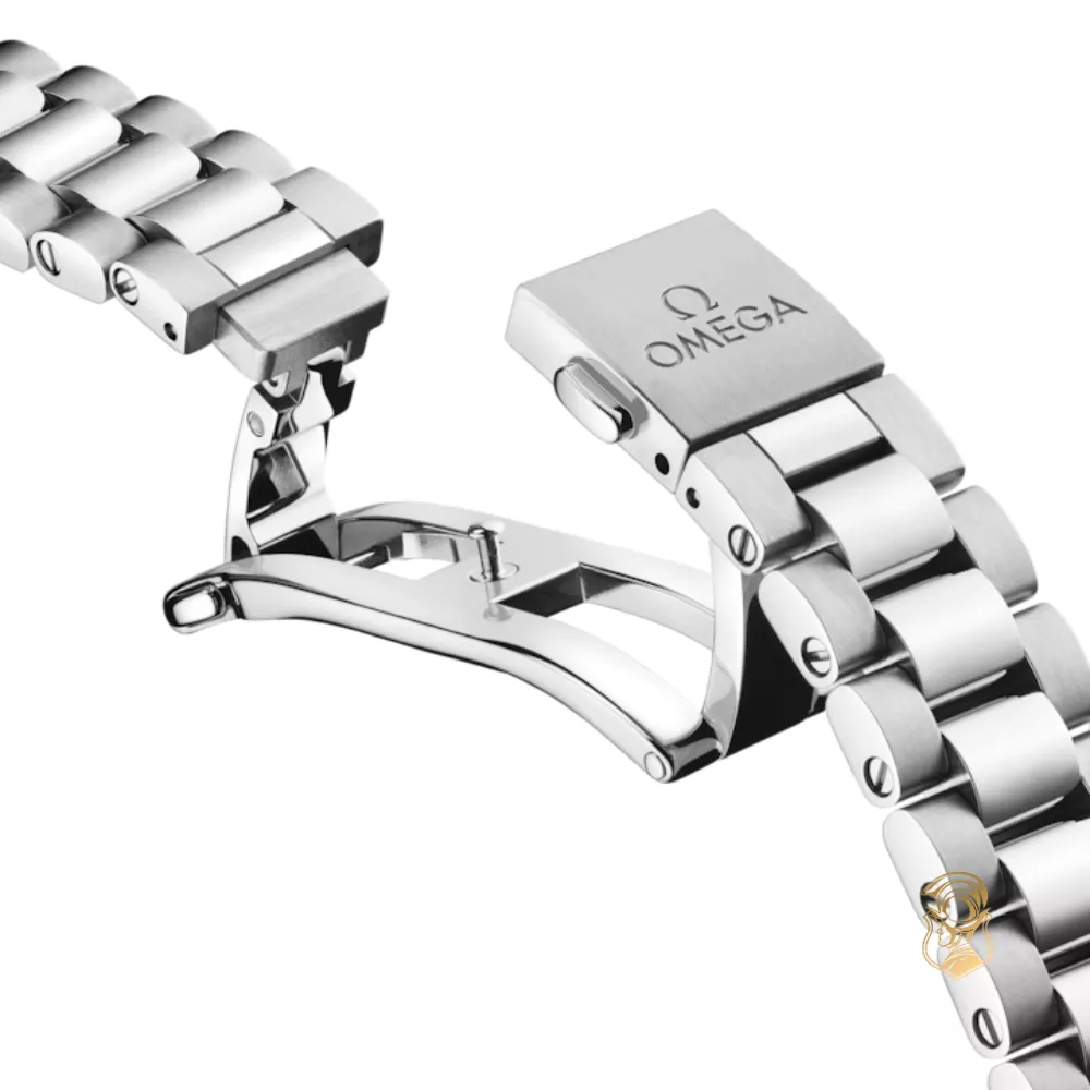 Omega Seamaster 220.10.30.20.60.001 Aqua Terra 150M Watch 30mm