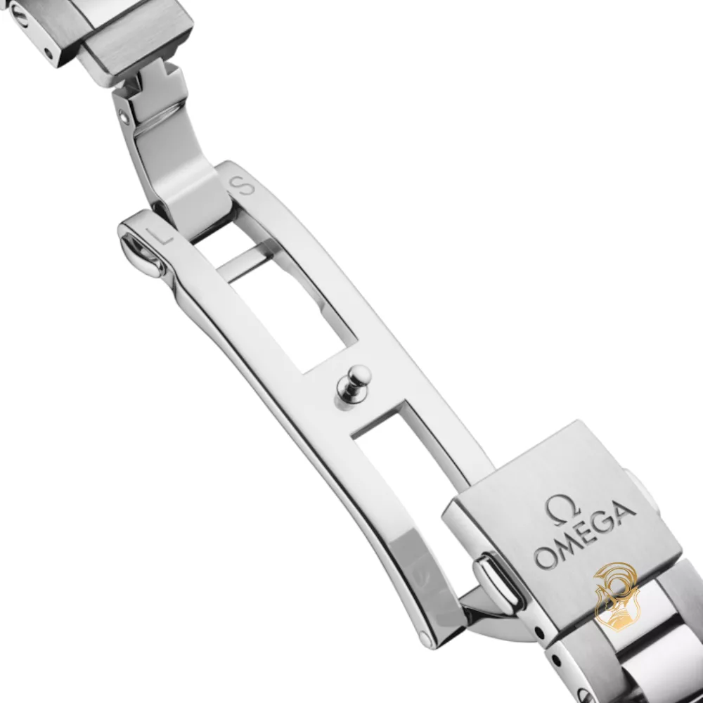 Omega Seamaster 220.10.30.20.60.001 Aqua Terra 150M Watch 30mm