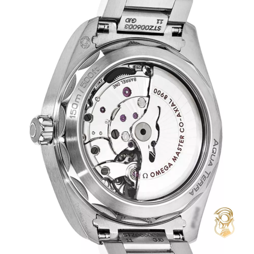 Omega Seamaster 220.10.41.21.02.001 Aqua Terra 150M Watch 41mm