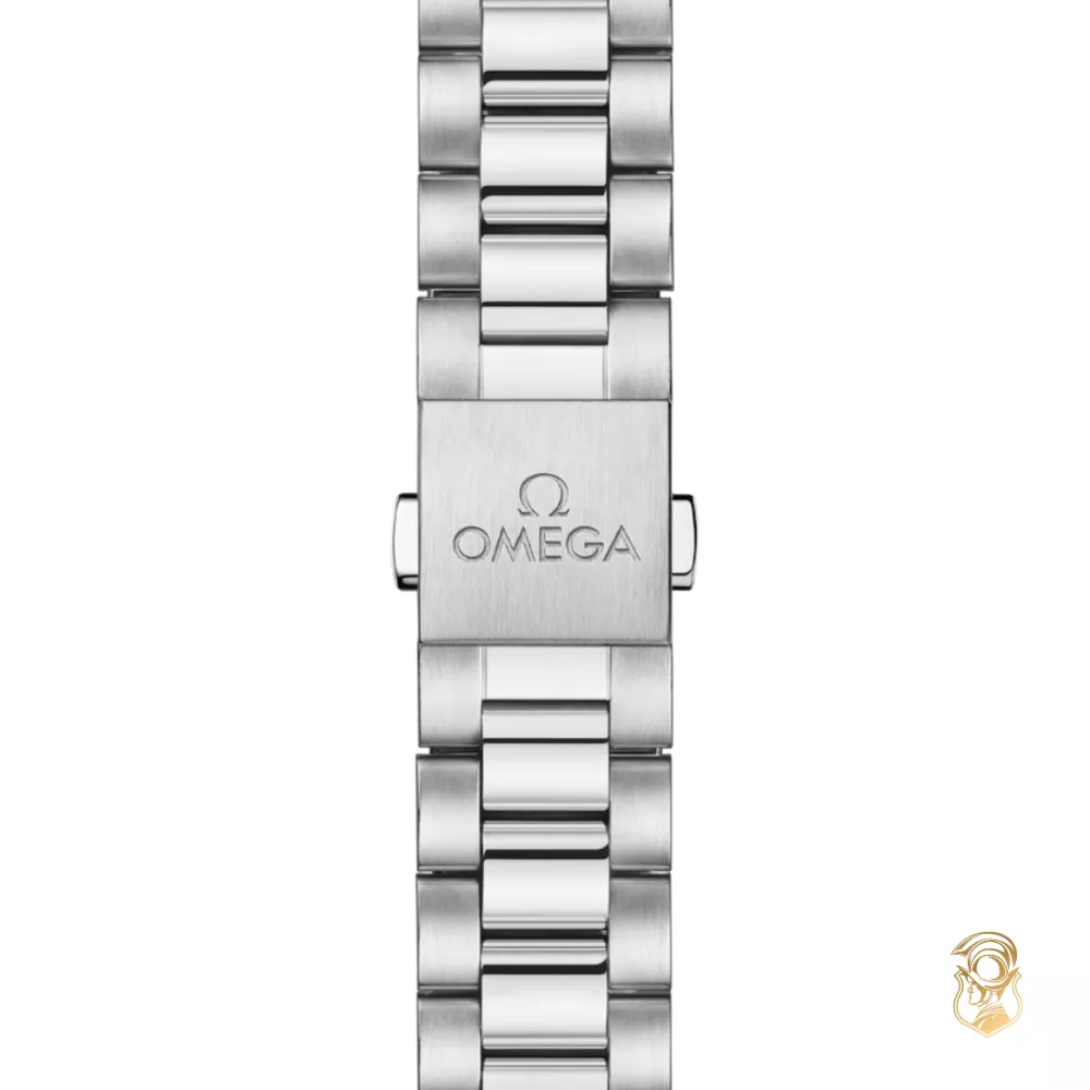 Omega Seamaster 220.10.41.21.03.006 Aqua Terra 150M 41mm