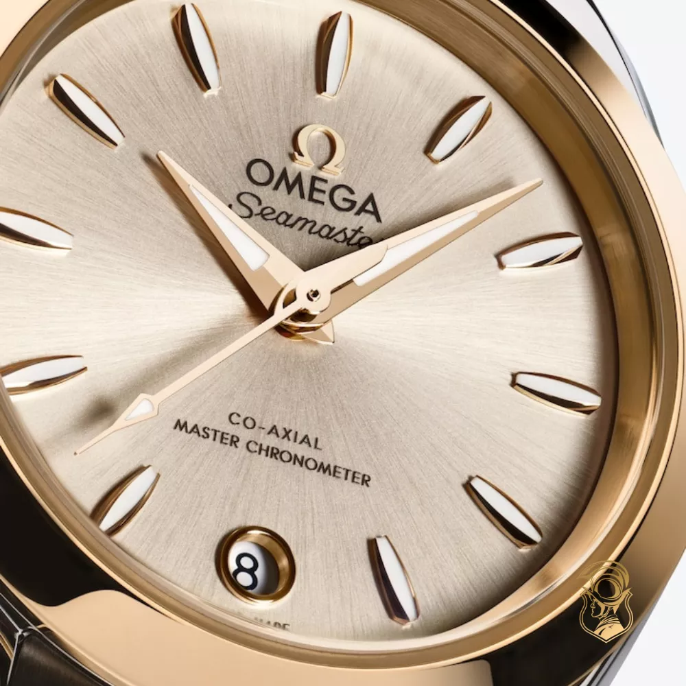 Omega Seamaster 220.20.30.20.02.001 Aqua Terra 150M Watch 30mm