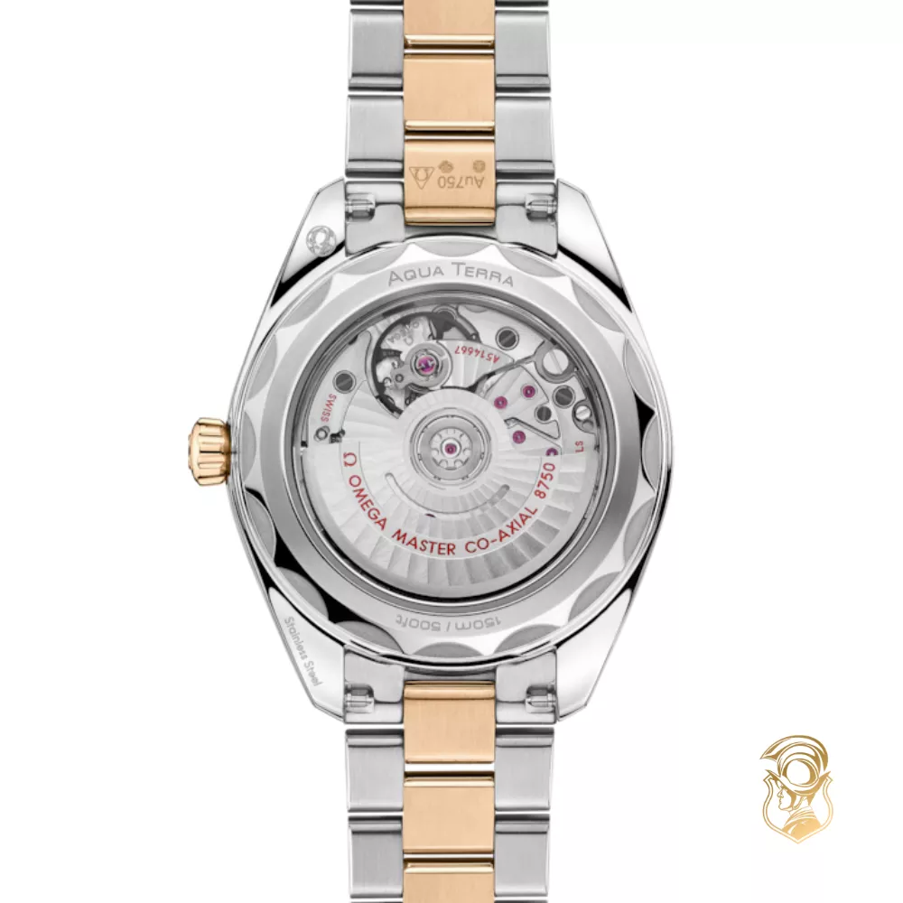 Omega Seamaster 220.20.30.20.02.001 Aqua Terra 150M Watch 30mm