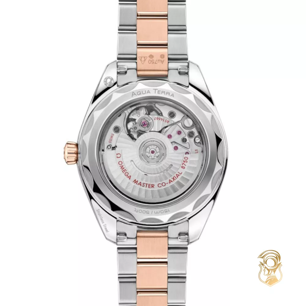 Omega Seamaster 220.20.30.20.63.001 Aqua Terra 150M Watch 30mm