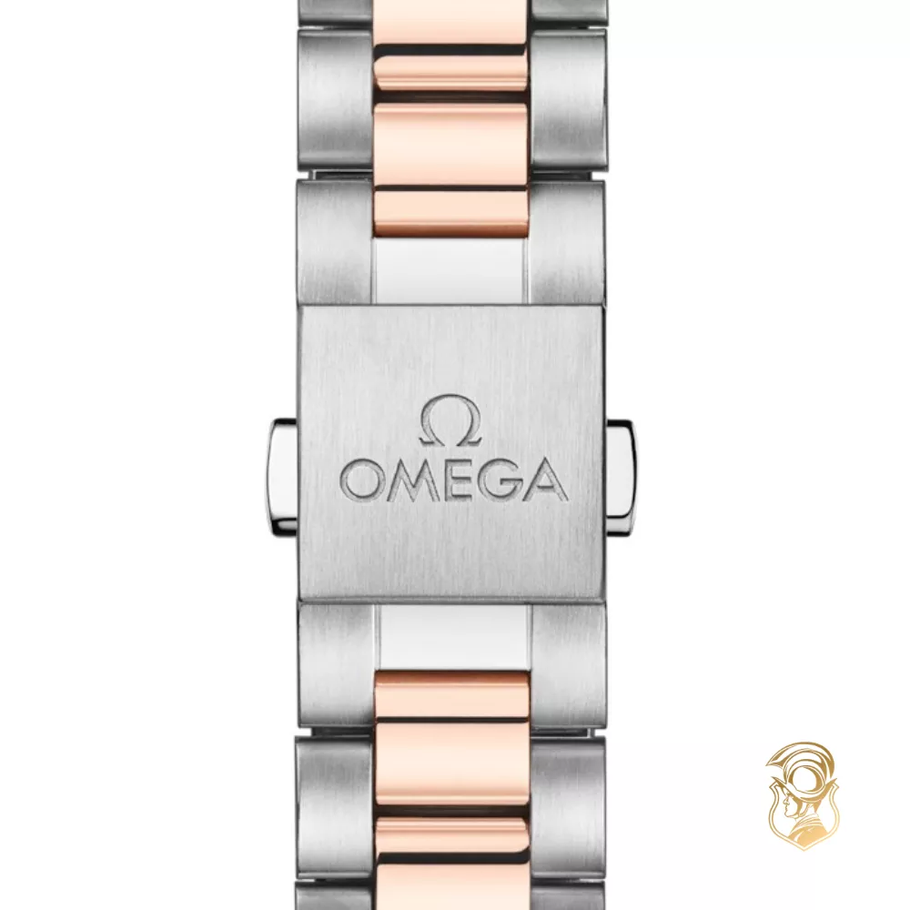 Omega Seamaster 220.20.30.20.63.001 Aqua Terra 150M Watch 30mm