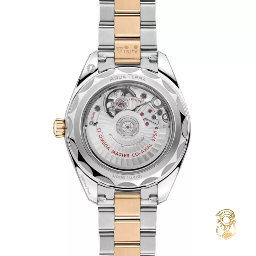 Omega Seamaster 220.25.30.20.55.001 Aqua Terra 150M Watch 30mm