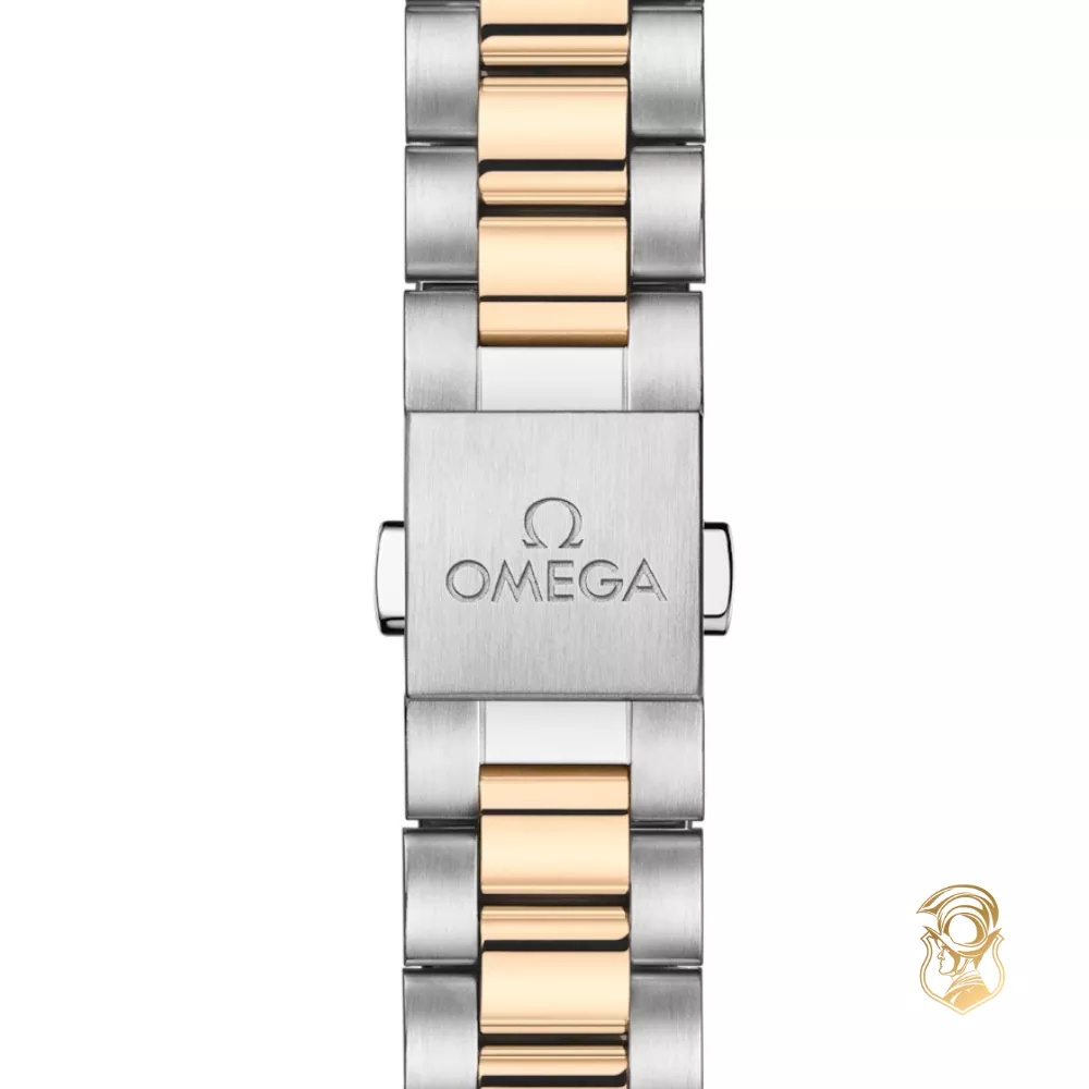 Omega Seamaster 220.25.30.20.55.001 Aqua Terra 150M Watch 30mm