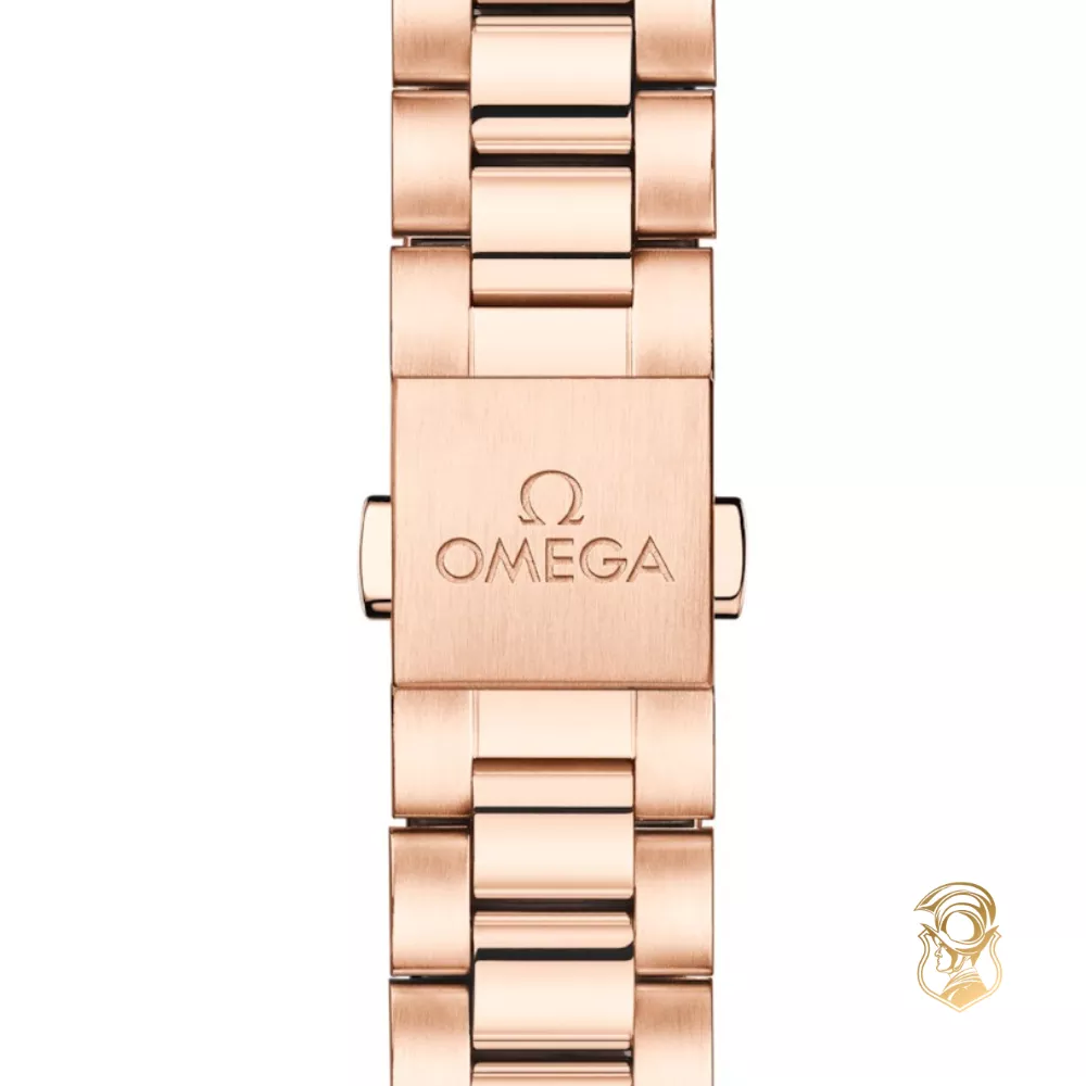 Omega Seamaster 220.50.30.20.09.001 Aqua Terra 150M Watch 30mm