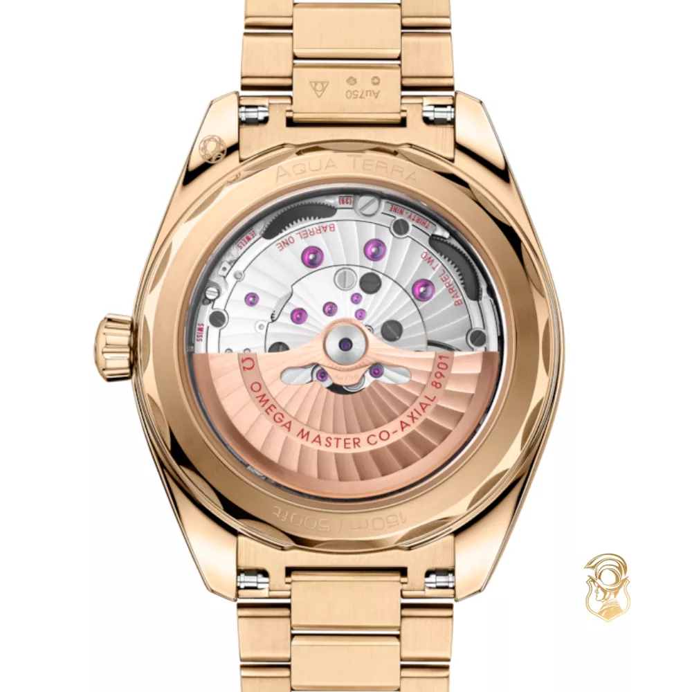 Omega Seamaster 220.50.41.21.10.001 Aqua Terra 150M Watch 41mm