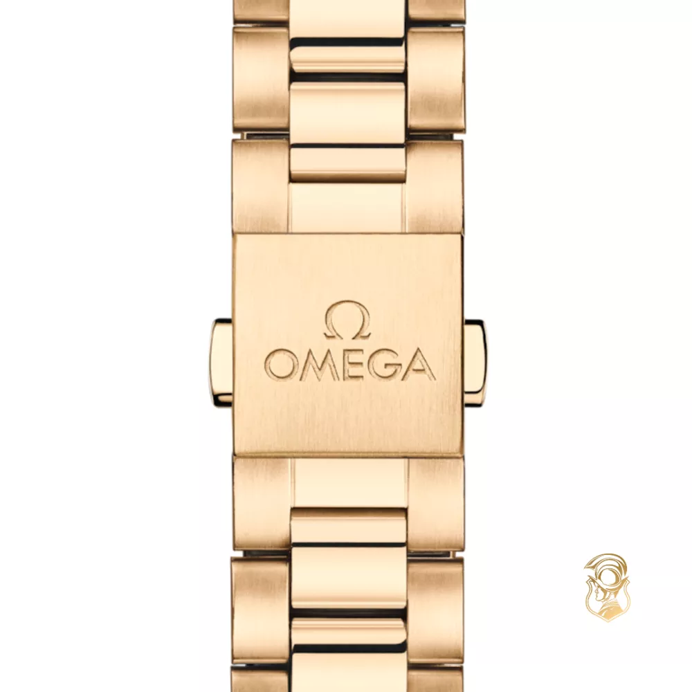 Omega Seamaster 220.50.41.21.10.001 Aqua Terra 150M Watch 41mm