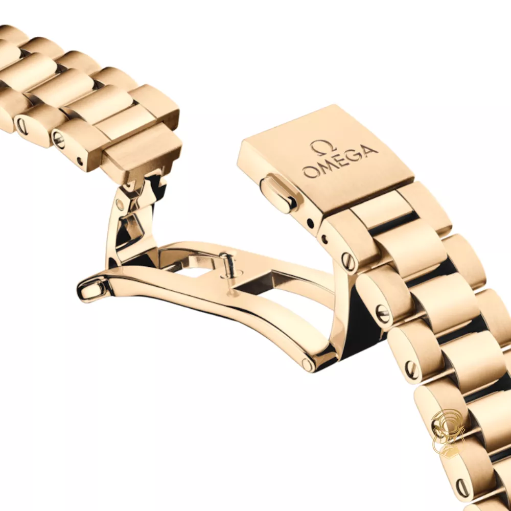 Omega Seamaster 220.50.41.21.10.001 Aqua Terra 150M Watch 41mm