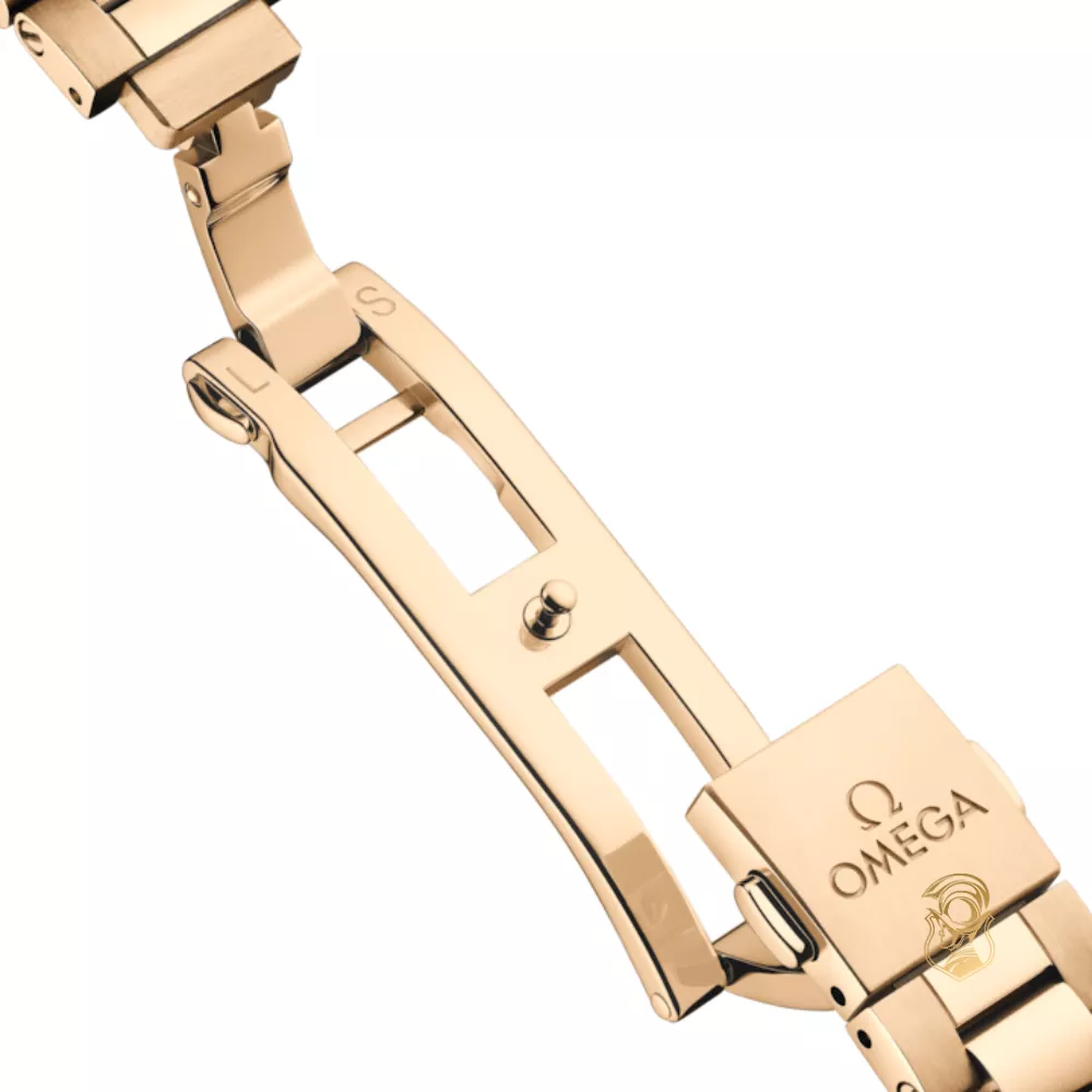 Omega Seamaster 220.50.41.21.10.001 Aqua Terra 150M Watch 41mm