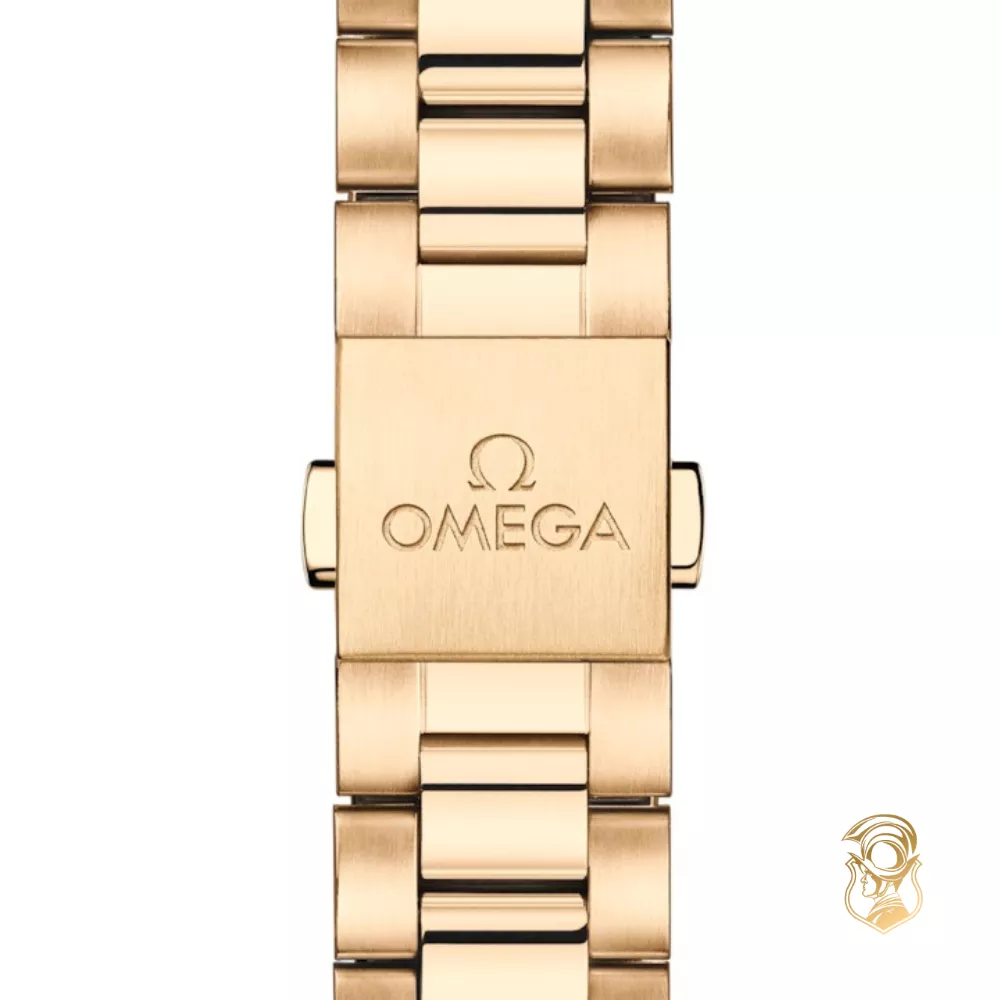 Omega Seamaster 220.55.30.20.60.001 Aqua Terra 150M Watch 30mm