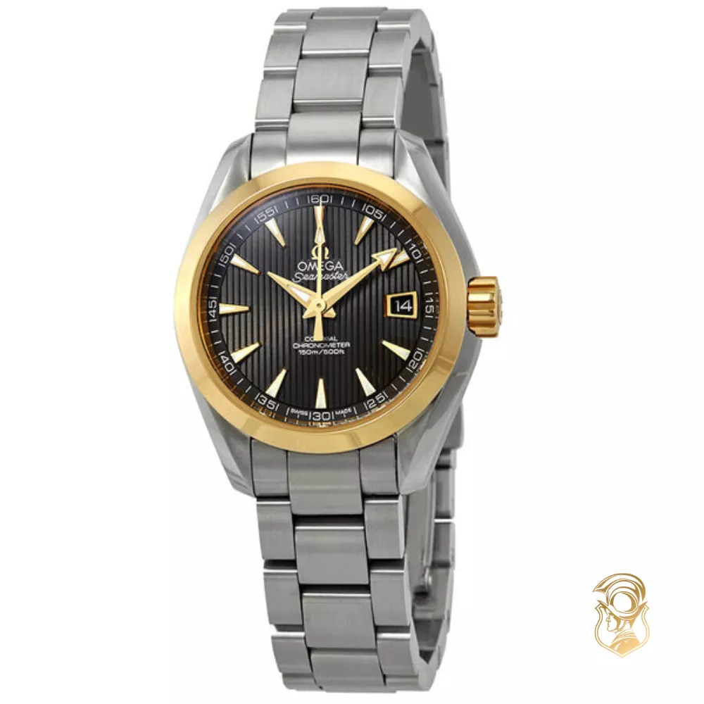Omega Seamaster 231.20.30.20.06.004 Aqua Terra 150M Watch 30mm