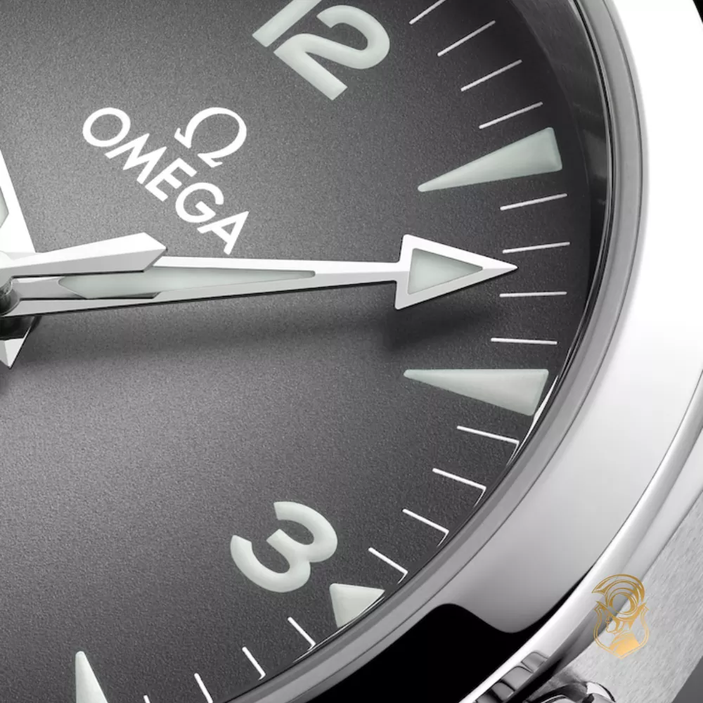 Omega Seamaster 235.12.38.20.06.001 Railmaster Watch 38mm