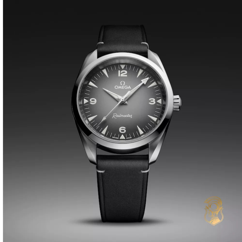 Omega Seamaster 235.12.38.20.06.001 Railmaster Watch 38mm