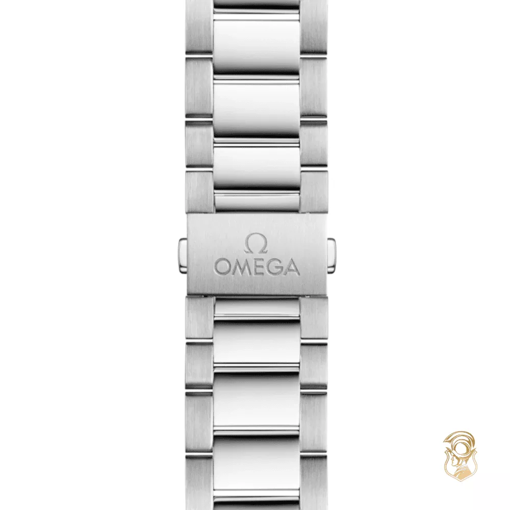 Omega Seamaster Aqua Terra 220.10.41.21.03.005 150M Watch 41 MM