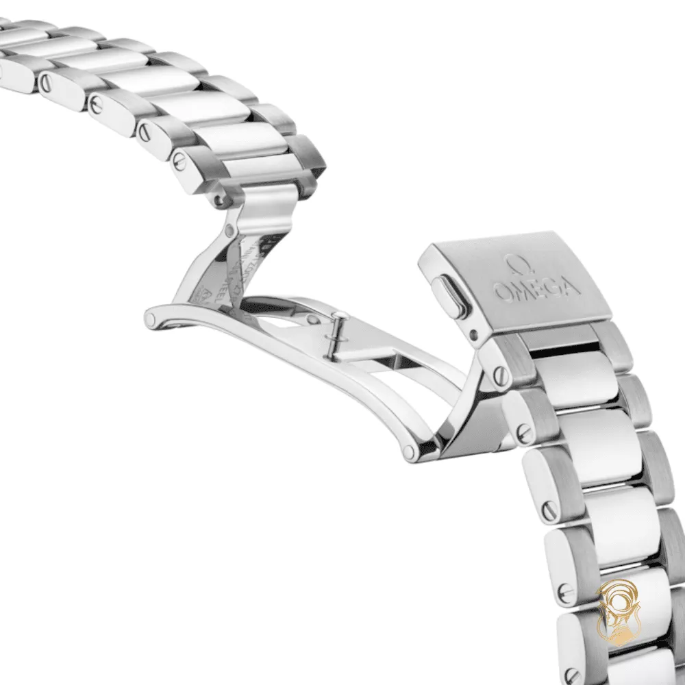 Omega Seamaster Aqua Terra 220.10.41.21.03.005 150M Watch 41 MM