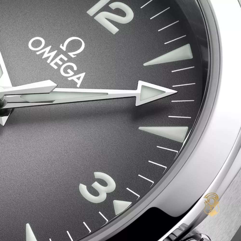 Omega Seamaster Railmaster 235.10.38.20.06.001 Watch 38mm