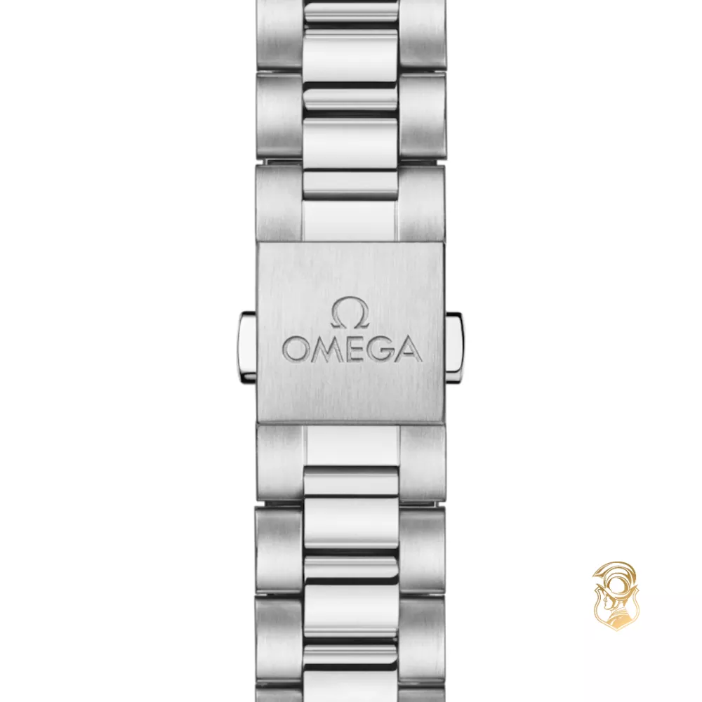 Omega Seamaster Railmaster 235.10.38.20.06.001 Watch 38mm