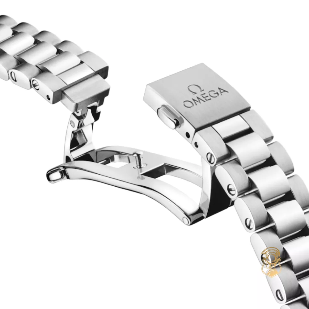 Omega Seamaster Railmaster 235.10.38.20.06.001 Watch 38mm