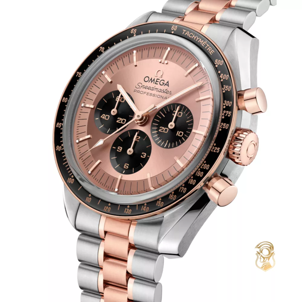Omega Speedmaster 310.20.42.50.99.001 Moonwatch Professional Watch 42mm