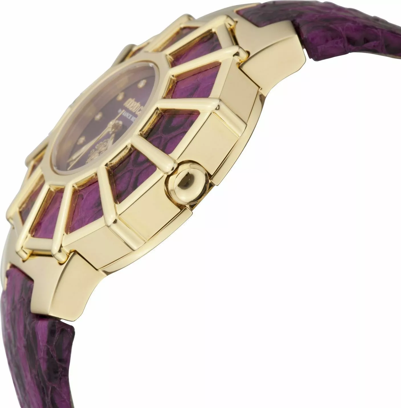 Roberto Cavalli Women Webbing Watch 37.5