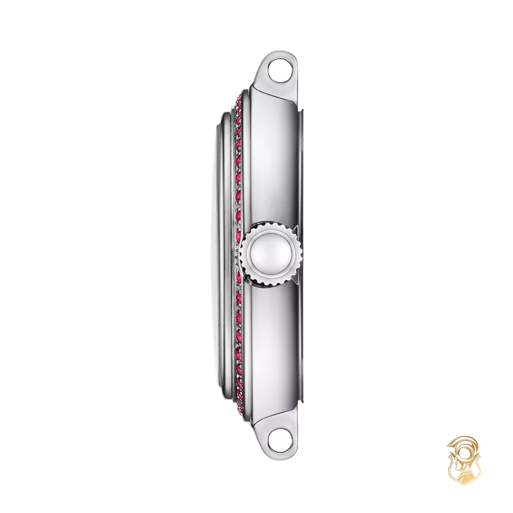 Tissot Bellissima Small Lady T126.010.66.113.00 Watch 26mm