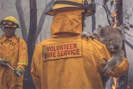 PHIÊN ĐẤU GIÁ ĐỒNG HỒ QUỐC TẾ 'WATCH & ACT!' - HỖ TRỢ THẢM HỌA CHÁY RỪNG NƯỚC ÚC